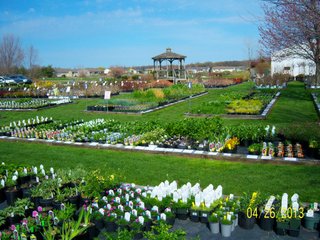 <a href="http://www.mcintoshgreenhouse.com">More Information Available at www.mcintoshgreenhouse.com</a><br><br>Fantastic opportunity on 14+/- acres just south of Goshen, IN with lots of frontage on US 33.  This property is currently zoned commercial-retail and consists of 16 greenhouses with 37,494 SF of heated growing area.  

In addition, it includes retail buildings, shop, and an approx. 1700 SF home adjacent to the business. Opportunities abound with this prime property and the second generation owners retiring and ready to consider offers.  Possible uses of this acreage is unlimited!  A Great location on a busy road, good access and paved parking for 66 vehicles.

 - 14+/- Acres Zoned Commercial-Retail